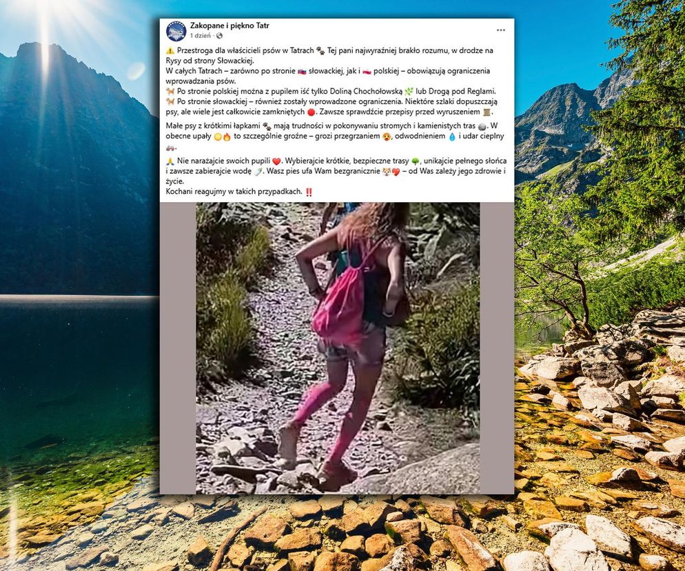Zrobili zdjęcie turystce w Tatrach. Niewiarygodne, co ze sobą wzięła na szlak