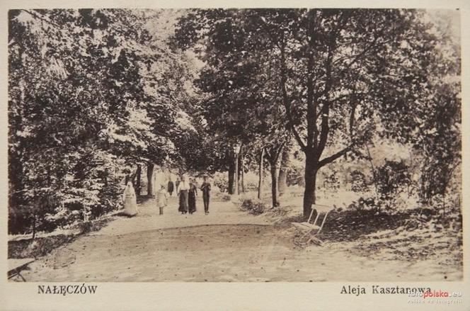 Nałęczów