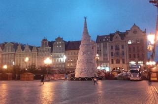 Choinka na wrocławskim rynku