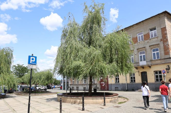 Tak wygląda pl. Rybny w Lublinie przed remontem