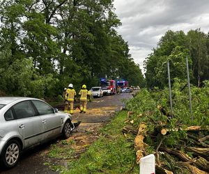 Potężne burze nad Polską. Drzewa spadały na samochody, setki interwencji straży pożarnej 