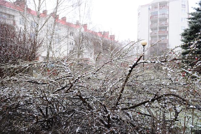 Śnieżyca nad Warszawą. Kiedy przestanie padać?