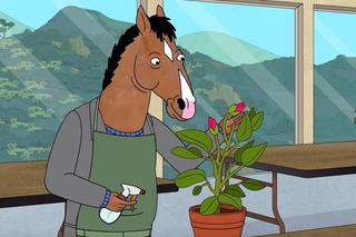 BoJack Horseman - sezon 7 powstanie? Netflix podjął decyzję