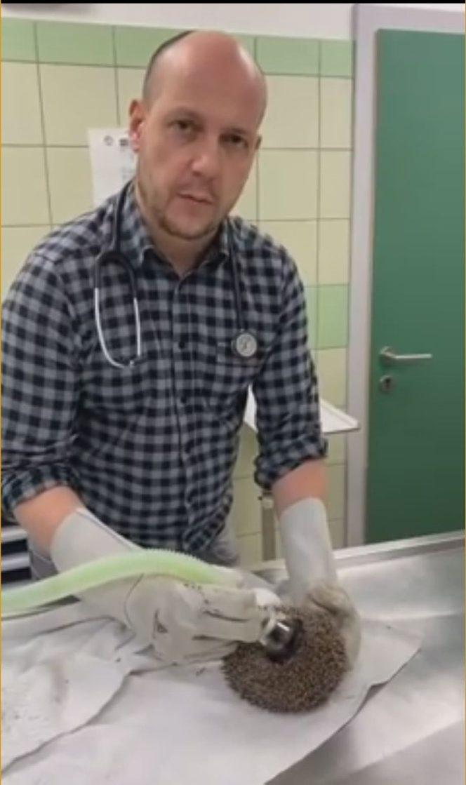 Wściekł się, bo wybudzili go ze snu