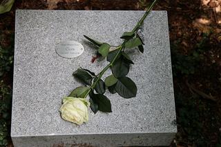 Zmarłe gwiazdy Eurowizji