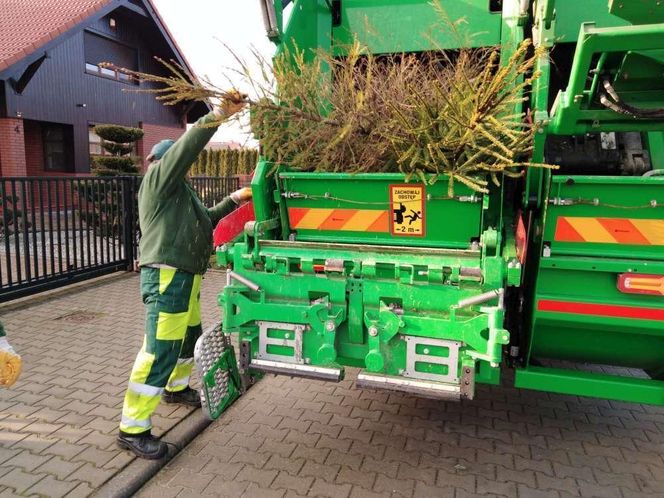 Znamy tegoroczny harmonogram odbioru choinek