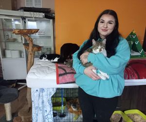 Poszukiwani wolontariusze do pomocy w Kociarni w Lesznie