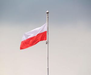 Wyniki wyborów prezydenckich 2025. Te wielkopolskie gminy się wyróżniają. Tutaj była najniższa i najwyższa frekwencja w województwie 
