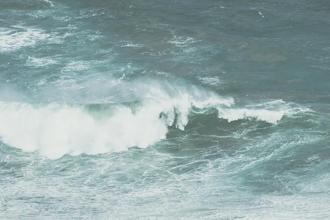 Dziś na Pomorzu wystąpią silne podmuchy wiatru