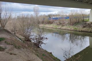  W Wisłoku znaleziono ciało 17-latka [GALERIA]