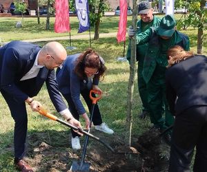 Obietnica frekwencyjna dotrzymana! Prezydentki Gdańska i Gdyni zasadziły drzewo