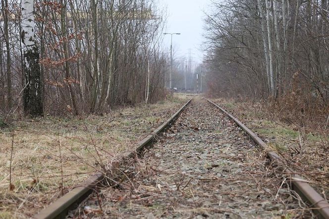 Zamiast dawnego szybu powstanie nowoczesna baza techniczna. Koleje Śląskie zawarły porozumienie z PGG 