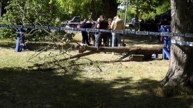 Tragedia podczas kręcenia reklamy na warszawskim Żoliborzu. Rekwizyt przygniótł angielską aktorkę