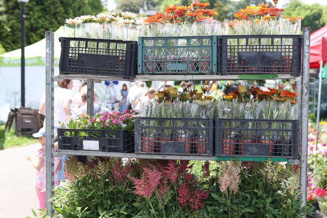 Parkowy Kiermasz Kwiatowy w Parku Śląskim