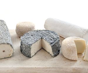 Rodzaje i gatunki serów [PRZEWODNIK]