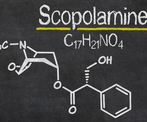 Skopolamina – lek na ból brzucha czy serum prawdy?