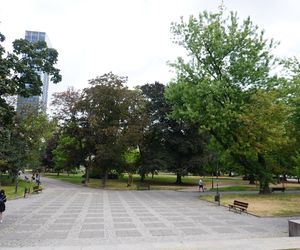 Park Świętokrzyski przed Pałacem Kultury i Nauki w Warszawie