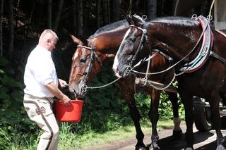 Tłumy turystów nad Morskim Okiem
