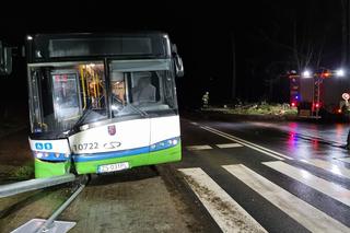 Autobus uderzył w drzewo, znak drogowy i latarnię! Nieprawdopodobny wypadek pod Szczecinem