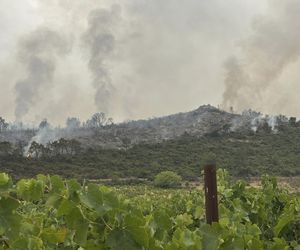 Ogromny pożar we Francji! Spłonął obszar wielki jak Paryż