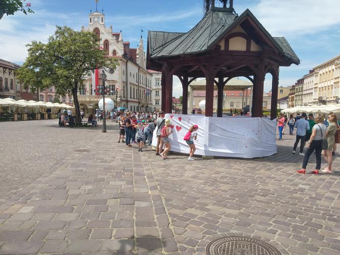 Dzień Wolności i Praw Obywatelskich w Rzeszowie