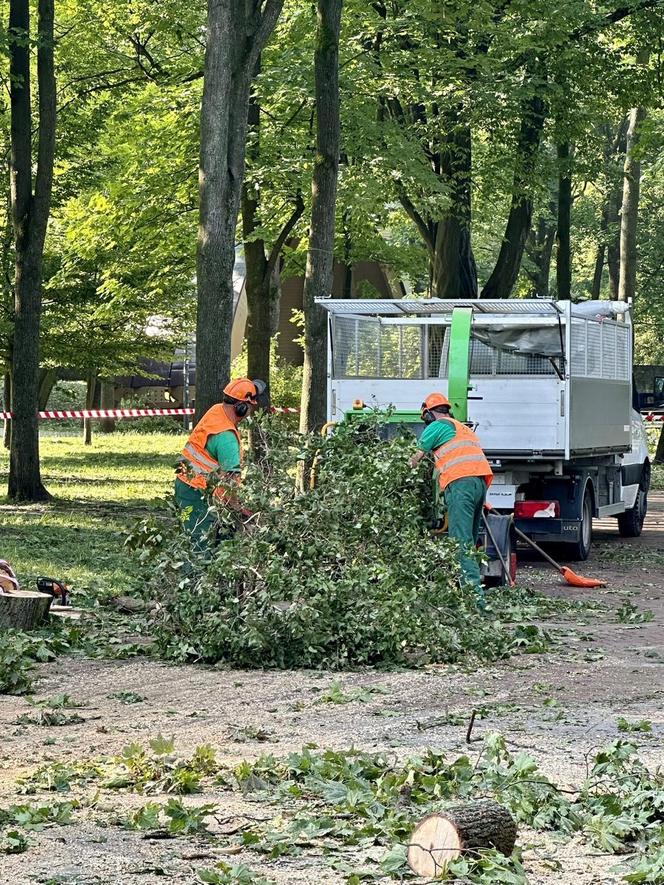 Armagedon w Kielcach i Świętokrzyskiem! Nawałnica wyrządziła dużo szkód