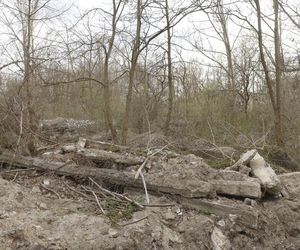 W Warszawie powstaje drugie lapidarium. Miasto nie usunie betonowych odpadów. To artefakty