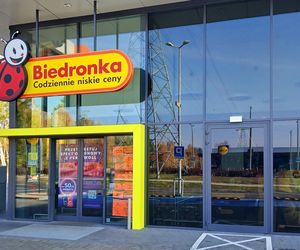 Biedronka na fali