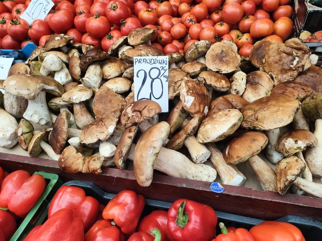 Grzyby na łódzkich targowiskach. Jest ich pełno! Zobacz, ile kosztują [ZDJĘCIA]