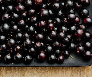 Spowalnia starzenie i działa cuda dla odporności. Powstaje z polskiego czarnego złota