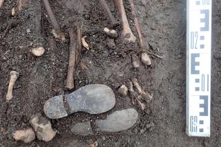 Masowy grób w ogrodzie we Wrocławiu