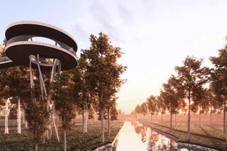 Ścieżka w koronach drzew w Zwierzyńcu według Autograf Studio