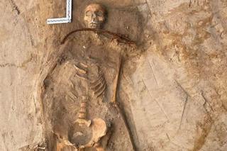 Kolejny intrygujący grób naukowcy odkryli w Pniu pod Bydgoszczą. To tzw. pochówki antywampiryczne [GALERIA]