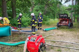 Duży pożar lasu w powiecie wolsztyńskim. Poszkodowani zostali strażacy!