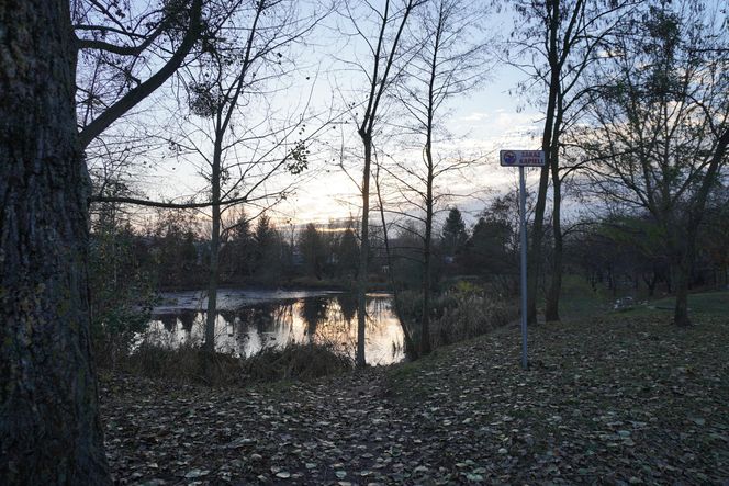 Tu powstanie kolejne miejske do rekreacji w Białymstoku. Tak obecnie wygląda staw przy Bema