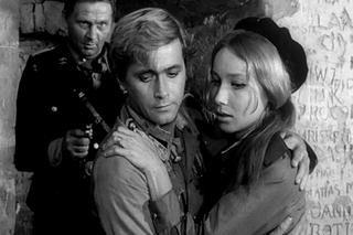 Czterej pancerni i pies