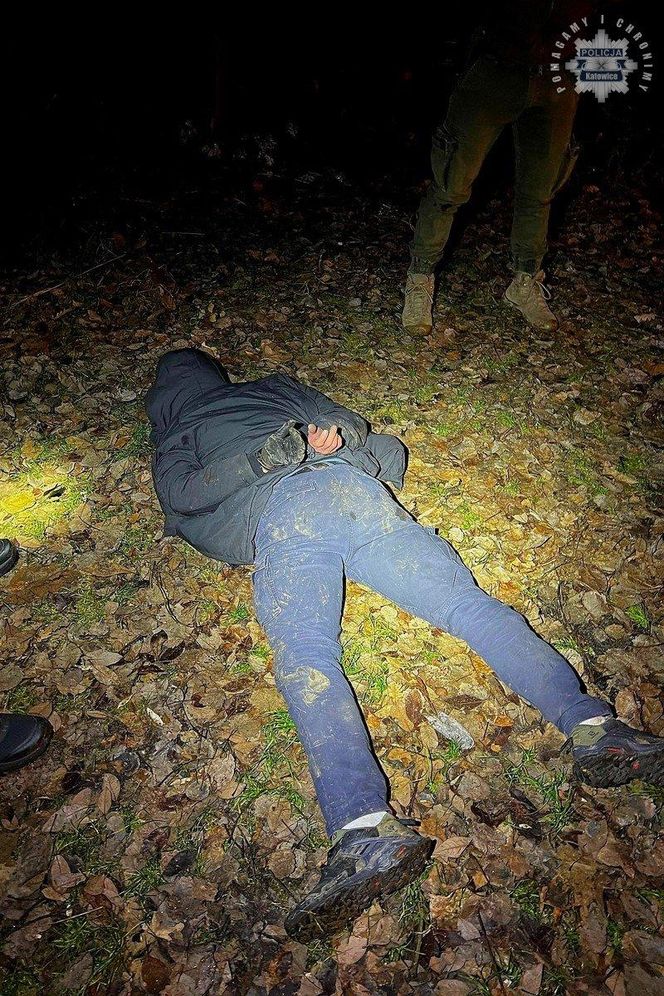 Kradli na Śląsku samochody klasy premium. Duża akcja kontrterrorystów