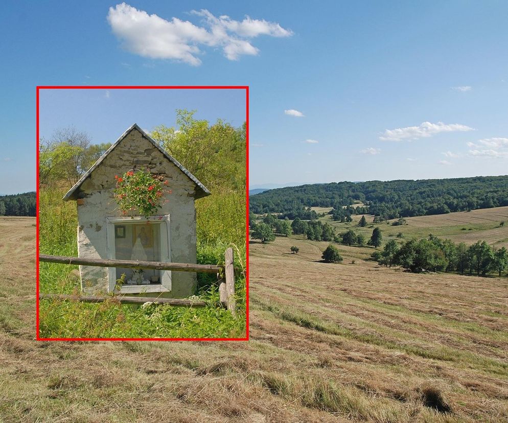 Opustoszałe miejsce w Małopolsce. Po wojnie wysiedlono stamtąd wszystkich mieszkańców 