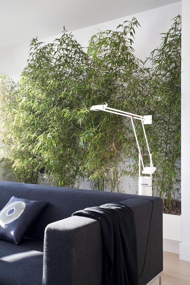 Zielona dekoracja minimalistycznego apartamentu