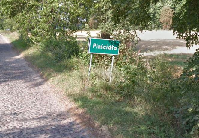 Pieścidła (pow. płoński)