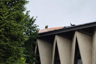 Skutki nawałnic w powiatach brzeskim i tarnowskim z 7 lipca 2025 roku