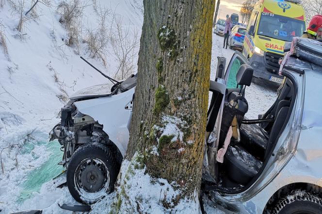 Wielkie Lniska: Z samochodu została MIAZGA! Jedna osoba trafiła do szpitala