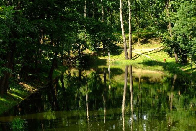 TOP 7 miejsc na Bemowie, o których nie wiedziałeś! Zobacz najciekawsze miejsca dzielnicy [GALERIA]