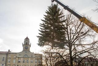 Gorlice: Na rynku już stoi choinka. Jest piękna. MUSISZ ją zobaczyć