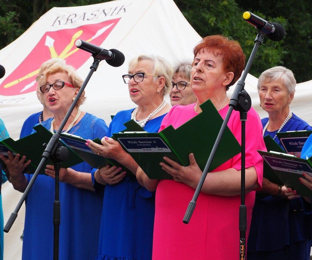 Niedzielne popołudnie pod znakiem występów w Amfiteatrze. W Kraśniku odbędzie się XV Integracyjny Festyn Rodzinny