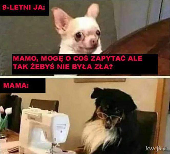  Memy na Dzień Matki 2022 [GALERIA]