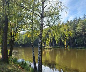 Arboretum Bramy Morawskiej zachwyca jesienią