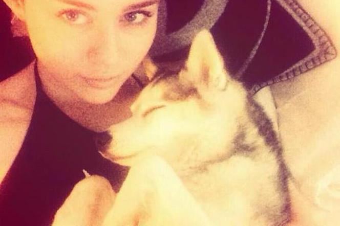 Miley Cyrus: Floyd był jej ukochanym pieskiem :( ZDJĘCIA