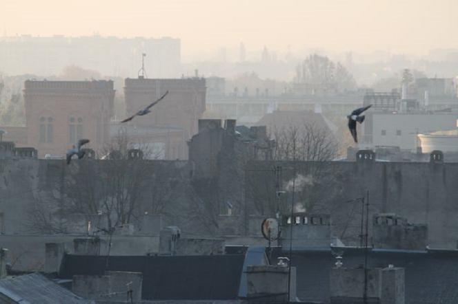 Trujący pył nad Łodzią i regionem! Jest alert Wojewódzkiego Centrum Zarządzania Kryzysowego