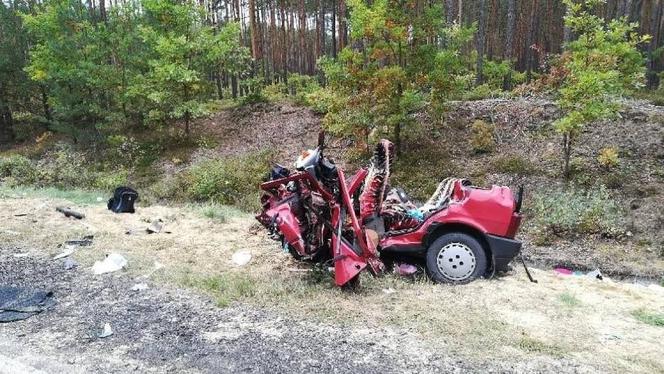 MAKABRYCZNY wypadek w Łódzkiem. Cztery osoby NIE ŻYJĄ